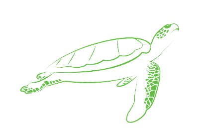 logo of a green turtle representing green turtle cloud bookkeeping