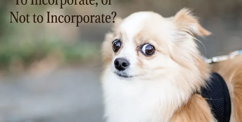 Side-by-side comparison of a sole proprietor working alone versus an incorporated business owner with their team