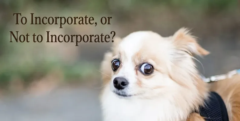 A wide-eyed small dog glancing sideways next to the words: To Incorporate, or Not to Incorporate?